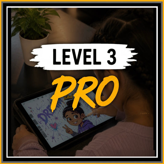 PRO [LEVEL 3]